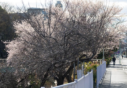 201612301405-DSC06945RX10M3.jpg