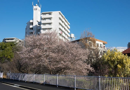 201612301413-DSC06973RX10M3.jpg