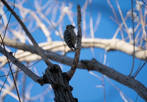 201612301451-DSC07037RX10M3.jpg