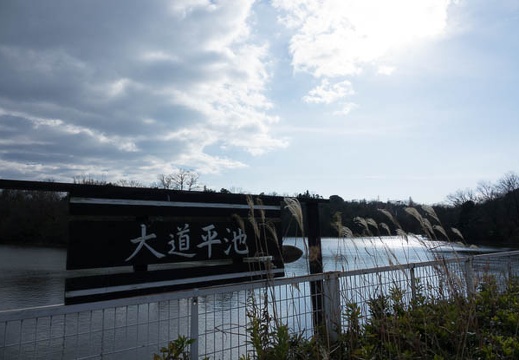 201701051328-DSC07064RX10M3.jpg