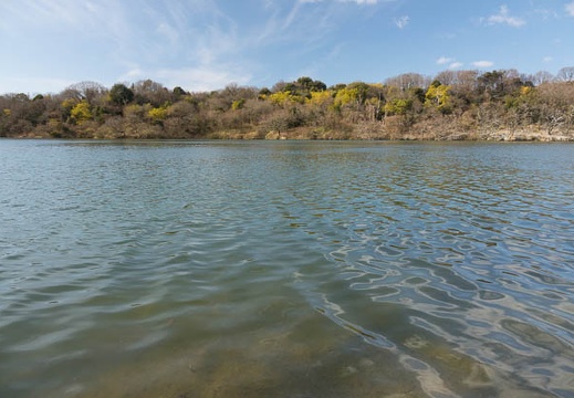 201701051343-DSC07100RX10M3.jpg