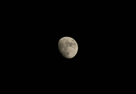 201701091931-DSC08519RX10M3.jpg