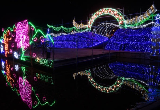 201701091953-DSC08550RX10M3.jpg