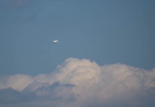 201701101157-DSC08717RX10M3.jpg