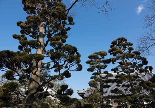201701201326-DSC01047RX10M3.jpg