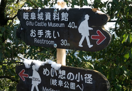 201701211243-DSC01406RX10M3.jpg