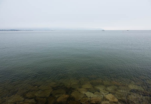 201701220847-DSC01635RX10M3.jpg