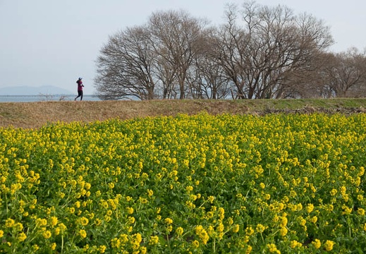 201701220952-DSC01739RX10M3.jpg