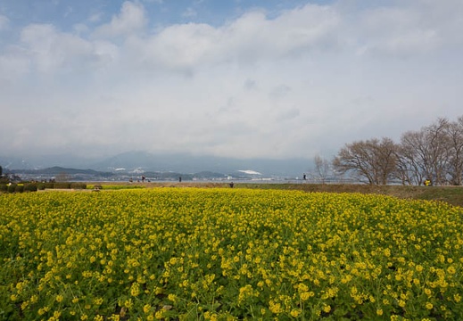 201701221025-DSC01803RX10M3.jpg