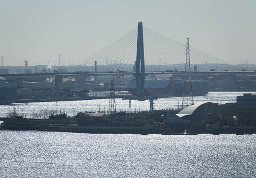 201701281204-DSC03827RX10M3.jpg