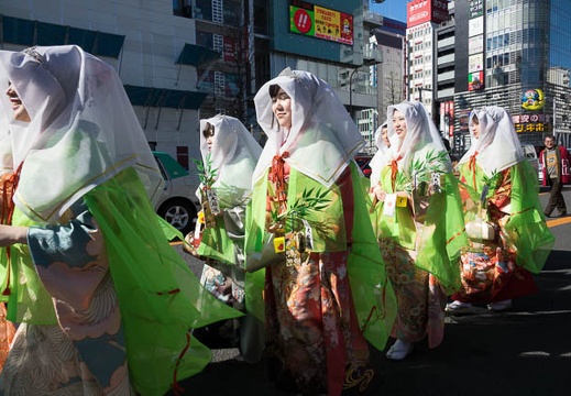 201702031323-DSC04516RX10M3.jpg
