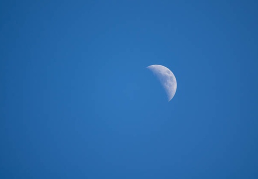 201702031352-DSC04532RX10M3.jpg
