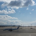 201702101157-DSC05549RX10M3.jpg