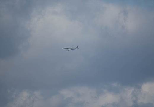 201702101207-DSC05580RX10M3.jpg
