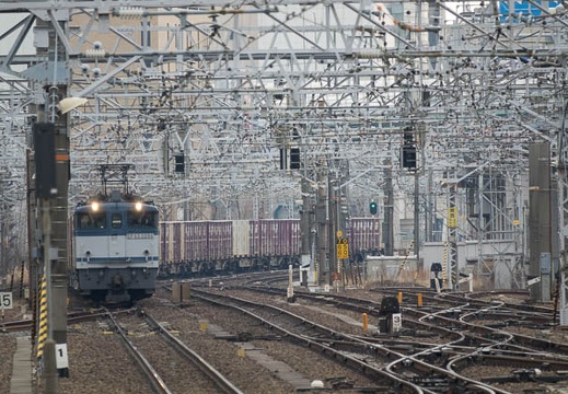 201702111053-DSC05839RX10M3.jpg