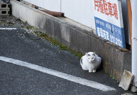 201702141613-DSC07933RX10M3.jpg