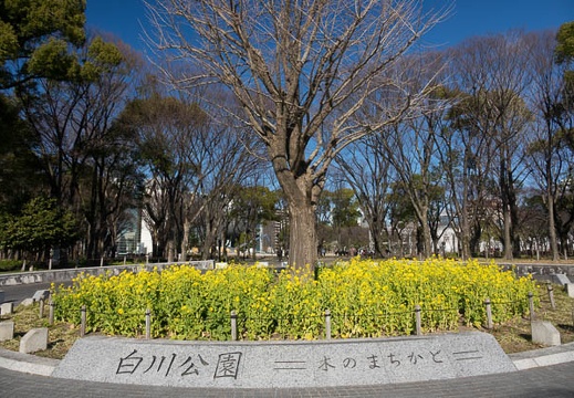 201702151444-DSC07966RX10M3.jpg