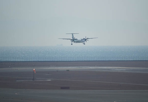 201702161156-DSC08093RX10M3.jpg