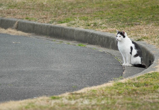 201702181200-DSC08598RX10M3.jpg