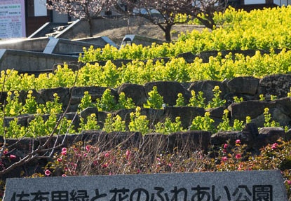 201702190919-DSC08939RX10M3.jpg