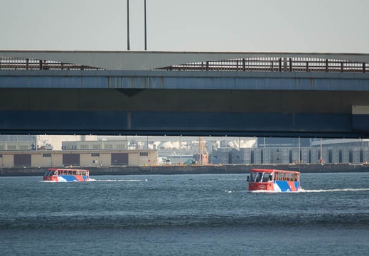 201702260928-DSC00328RX10M3.jpg