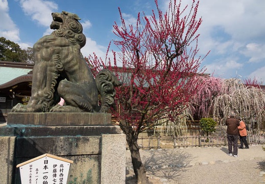 201703091354-DSC04515RX10M3.jpg