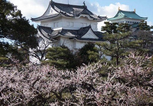 03.15 名古屋