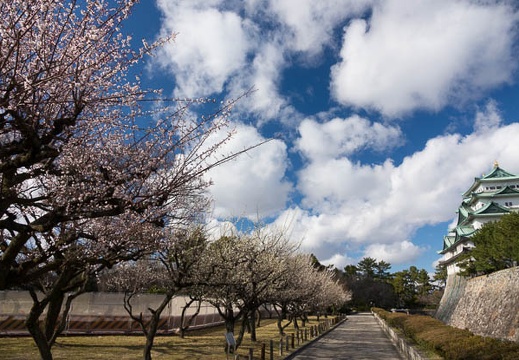 201703151514-DSC06538RX10M3.jpg