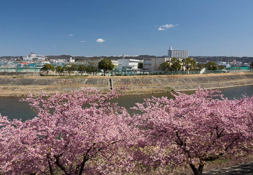201703161140-DSC06607RX10M3.jpg
