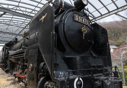 201703181156-DSC07075RX10M3.jpg