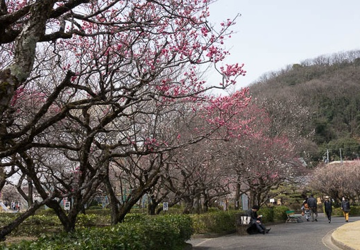 201703181206-DSC07100RX10M3.jpg