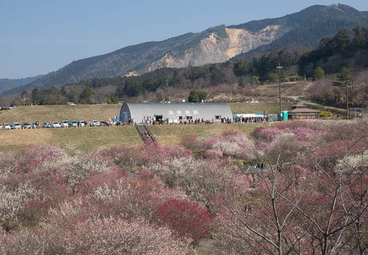 201703200944-DSC07720RX10M3.jpg