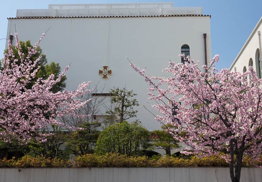 201703221222-DSC08128RX10M3.jpg