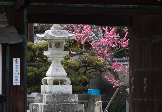 201703251311-DSC08727RX10M3.jpg