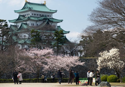 201703281350-DSC09510RX10M3.jpg