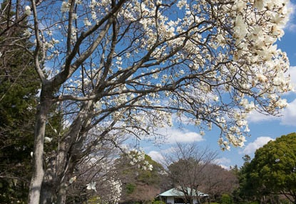 201703281402-DSC09550RX10M3.jpg