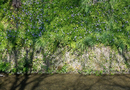 201704021004-DSC00683RX10M3.jpg