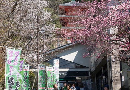 201704021407-DSC00810RX10M3.jpg