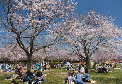201704031120-DSC01147RX10M3.jpg