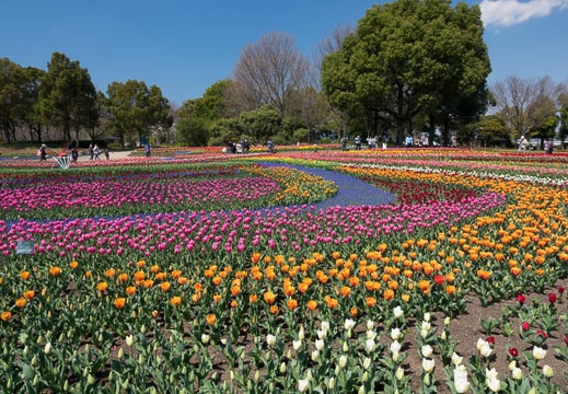 201704031140-DSC01235RX10M3.jpg