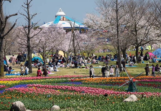 201704031150-DSC01277RX10M3.jpg