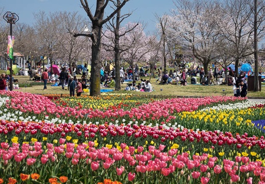 201704031205-DSC01321RX10M3.jpg