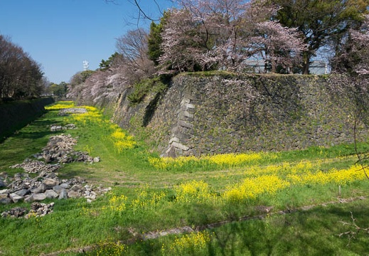 04.04 名古屋