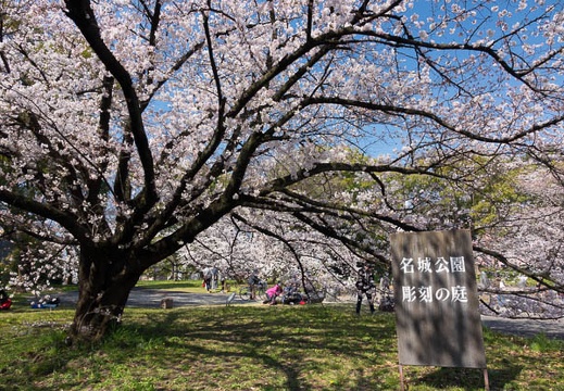 201704041027-DSC01622RX10M3.jpg
