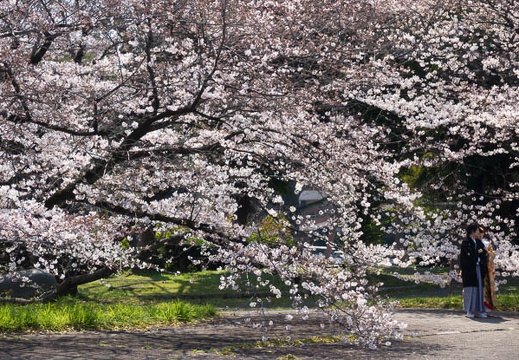 201704041030-DSC01629RX10M3.jpg