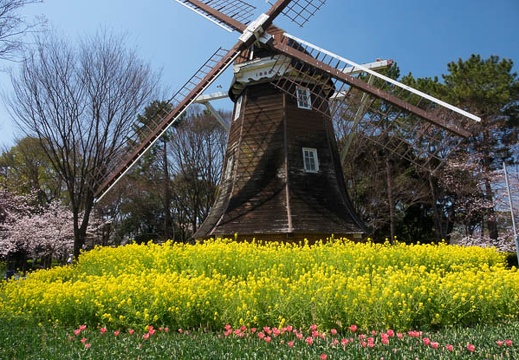 201704041129-DSC01761RX10M3.jpg