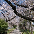 201704041247-DSC01879RX10M3.jpg
