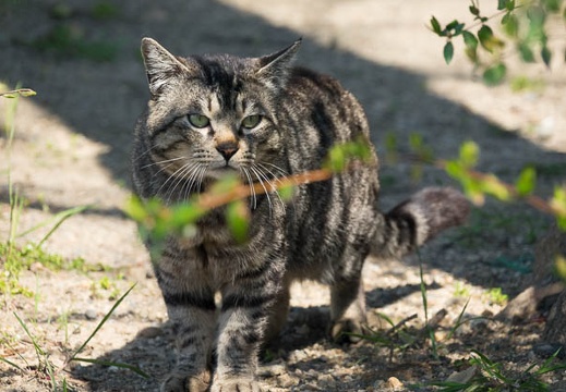 201704041254-DSC01888RX10M3.jpg