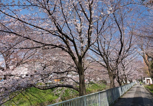 201704041301-DSC01894RX10M3.jpg