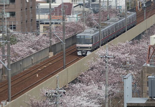 04.05 名古屋